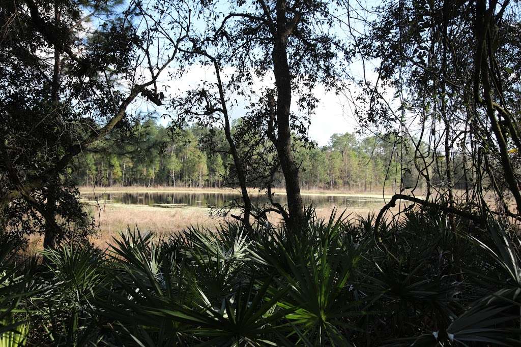 Withlacoochee River Park | 12449 Withlacoochee Blvd, Dade City, FL 33525, USA | Phone: (352) 567-0264