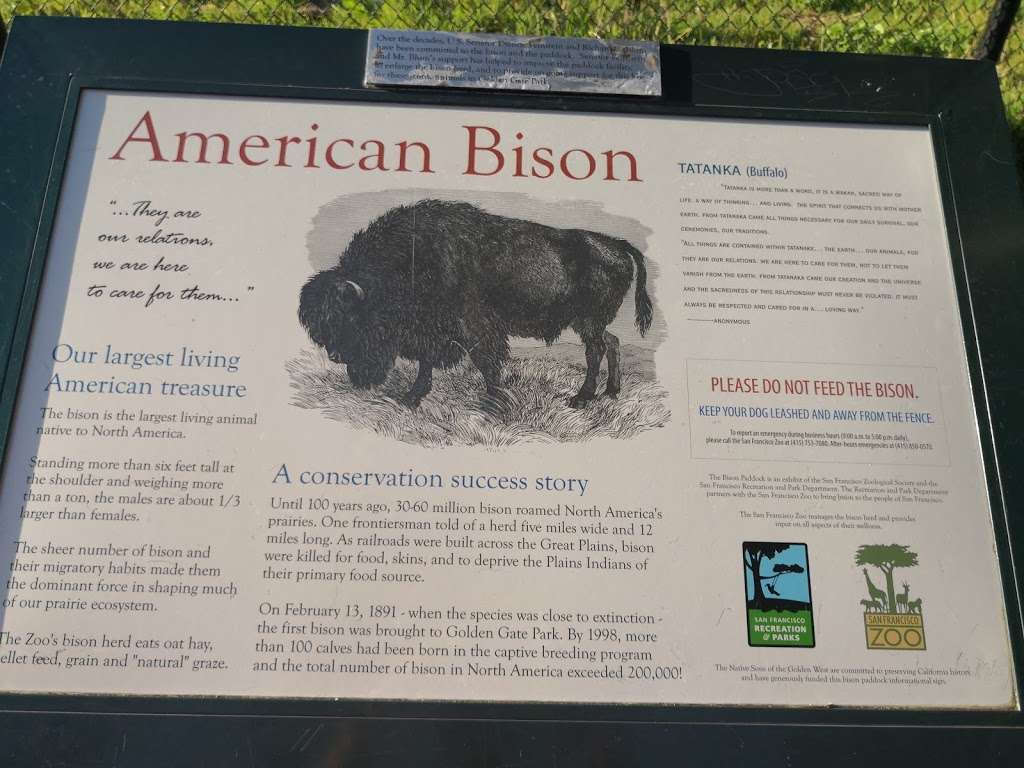 Bison Paddock | San Francisco, CA 94121, USA