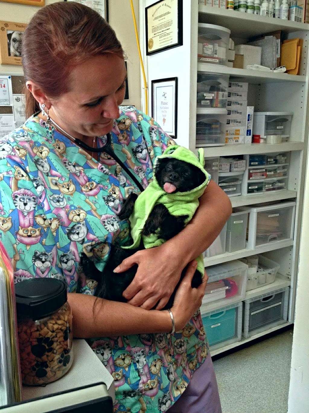 Poolesville Veterinary Clinic | 19621 Fisher Ave, Poolesville, MD 20837, USA | Phone: (301) 972-7705