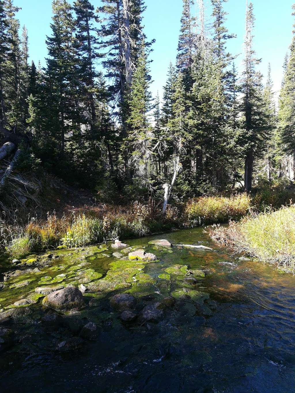 Ouzel Lake | Allenspark, CO 80510, USA