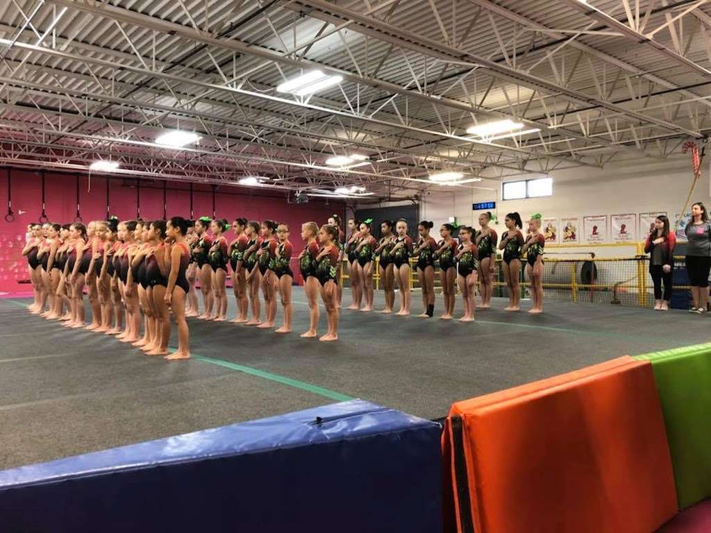 Gemini Gymnastics Academy | 330 Washington Ave, La Grange, IL 60525, USA | Phone: (708) 352-2977