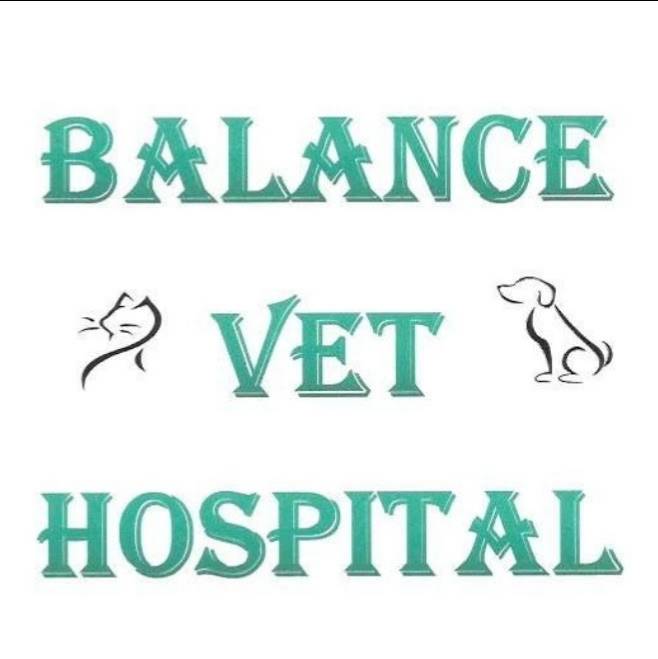 Balance Vet Hospital PLLC | 2790 W Mountain St, Kernersville, NC 27284, USA | Phone: (336) 448-5799