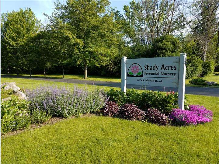 Shady Acres Perennial Nursery | 5725 S Martin Rd, New Berlin, WI 53146, USA | Phone: (262) 679-1610