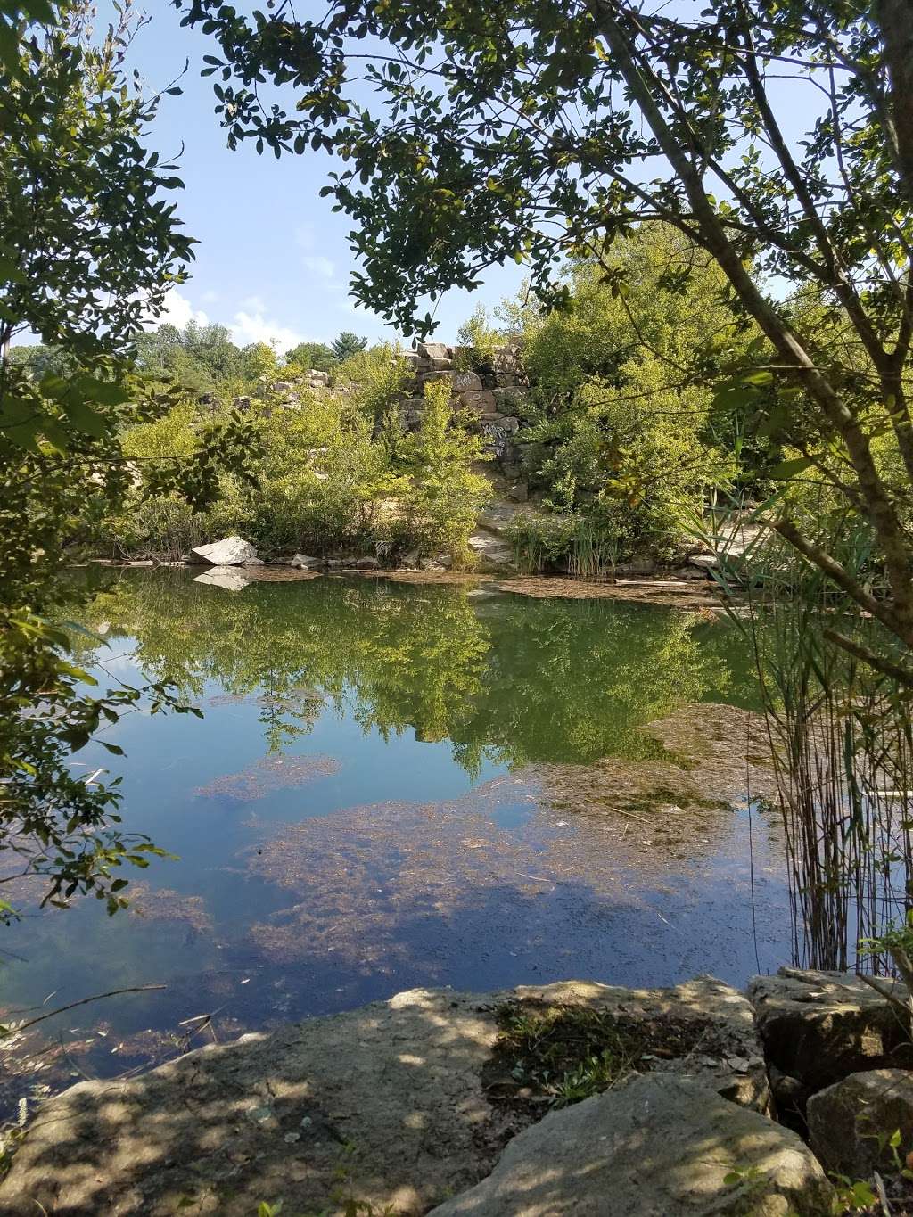 Cranberry Lake Parking Lot | West Harrison, NY 10604, USA