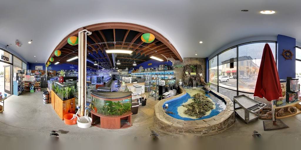 Seaside Tropical Fish | 21162 Beach Blvd, Huntington Beach, CA 92646, USA | Phone: (714) 969-0491