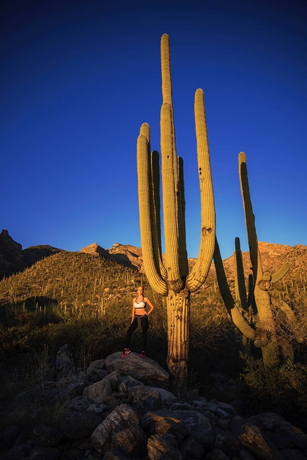 Richard McKee Finger Rock Trailhead | 7119 N Alvernon Way, Tucson, AZ 85718, USA | Phone: (520) 724-2263
