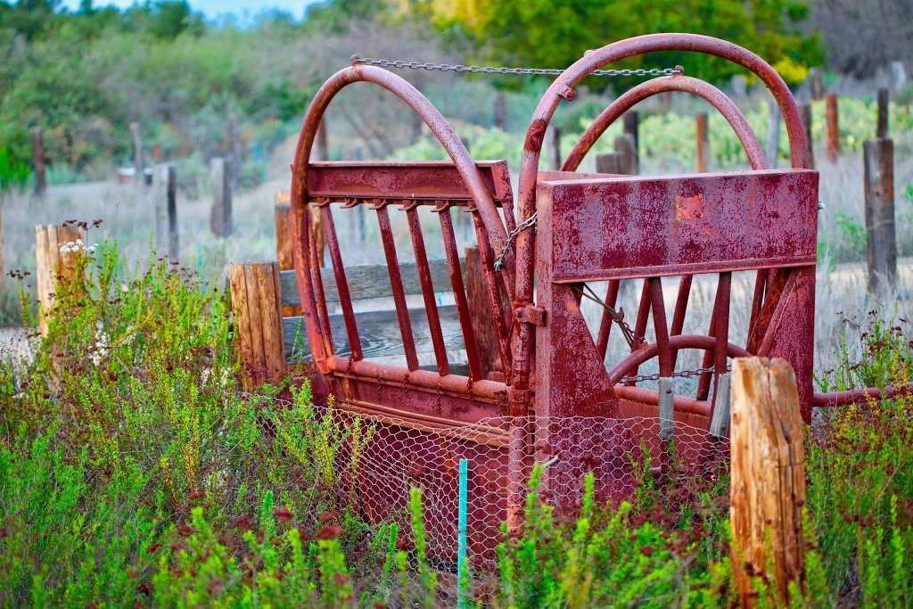 Bommer Canyon Nature Trail | Irvine, CA 92603, USA