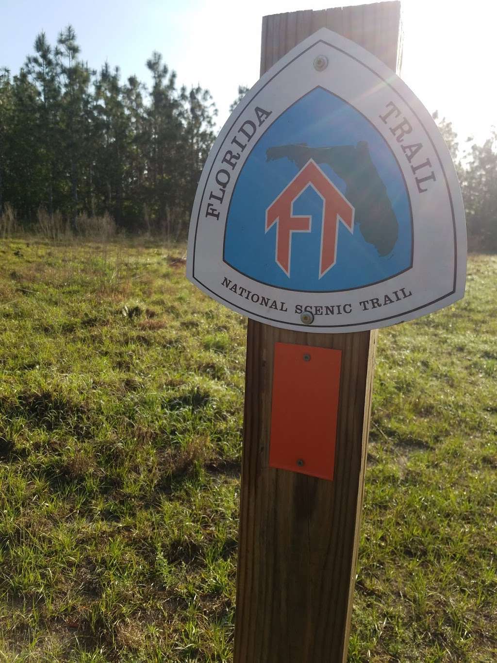 Baseline Road Trailhead | 4255 SE 58th Ave, Ocala, FL 34472, USA | Phone: (352) 671-8560