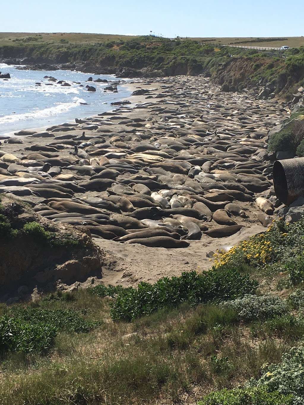 Coastal Trail | San Francisco, CA 94129, USA