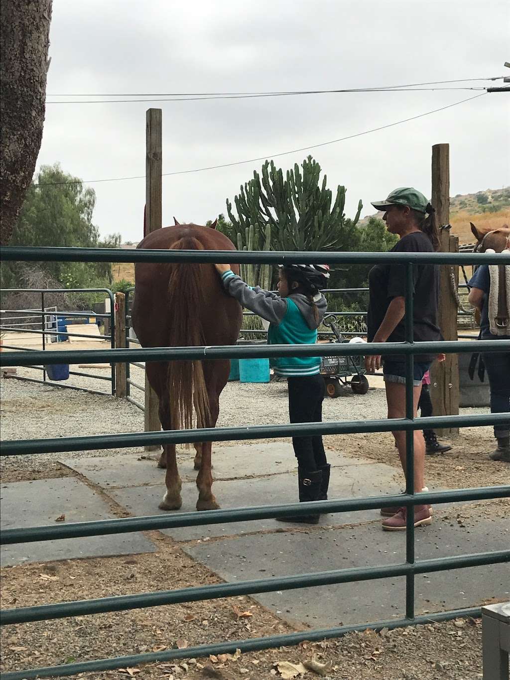 Fun With Horses | 449 Carbon Canyon Rd, Brea, CA 92328, USA | Phone: (949) 285-5286