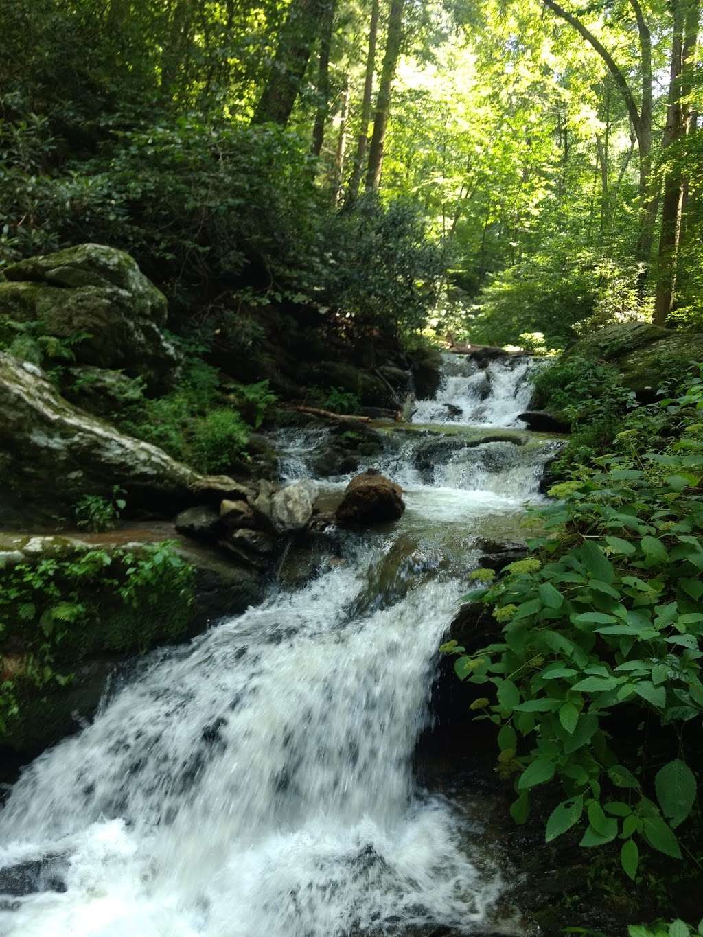 Mill Creek Falls (York Co.) Trail | River Rd, Airville, PA 17302, USA