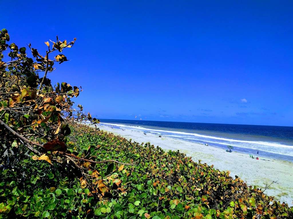 Juno Dog Beach - park  | Photo 6 of 10 | Address: 48 Ocean Blvd, Jupiter, FL 33477, USA