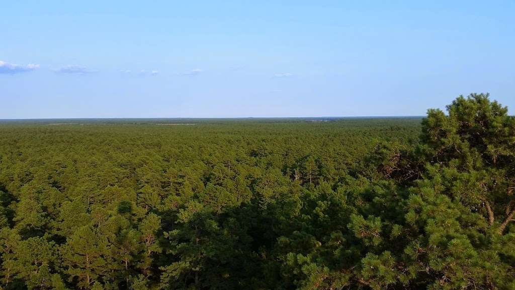 Apple Pie Hill Fire Tower | Chatsworth, NJ 08019, USA