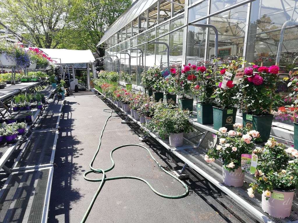 Good Earth Greenhouse LLC | 7900 Madison St, River Forest, IL 60305 | Phone: (708) 366-9500