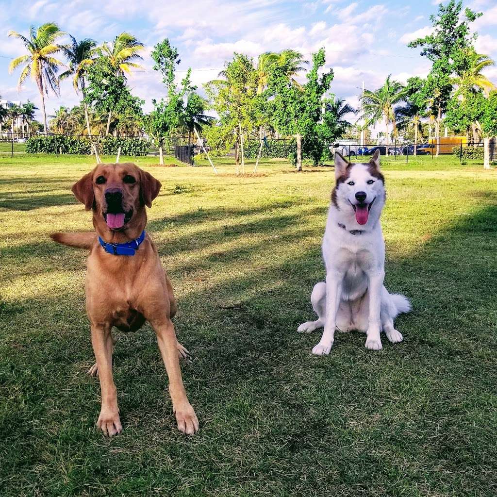 Haulover Beach Dog Park | 10800 Collins Ave, Miami Beach, FL 33154, USA | Phone: (305) 947-3525