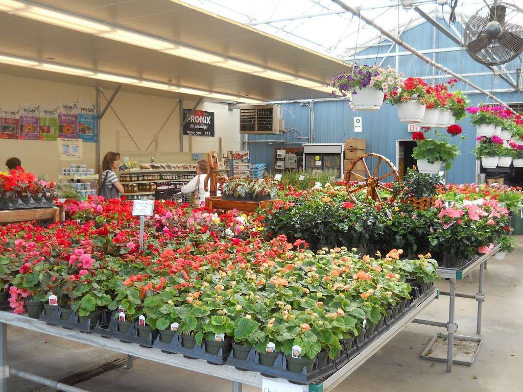 Rays Greenhouse | 458 Morwood Rd, Telford, PA 18969, USA | Phone: (215) 723-1476