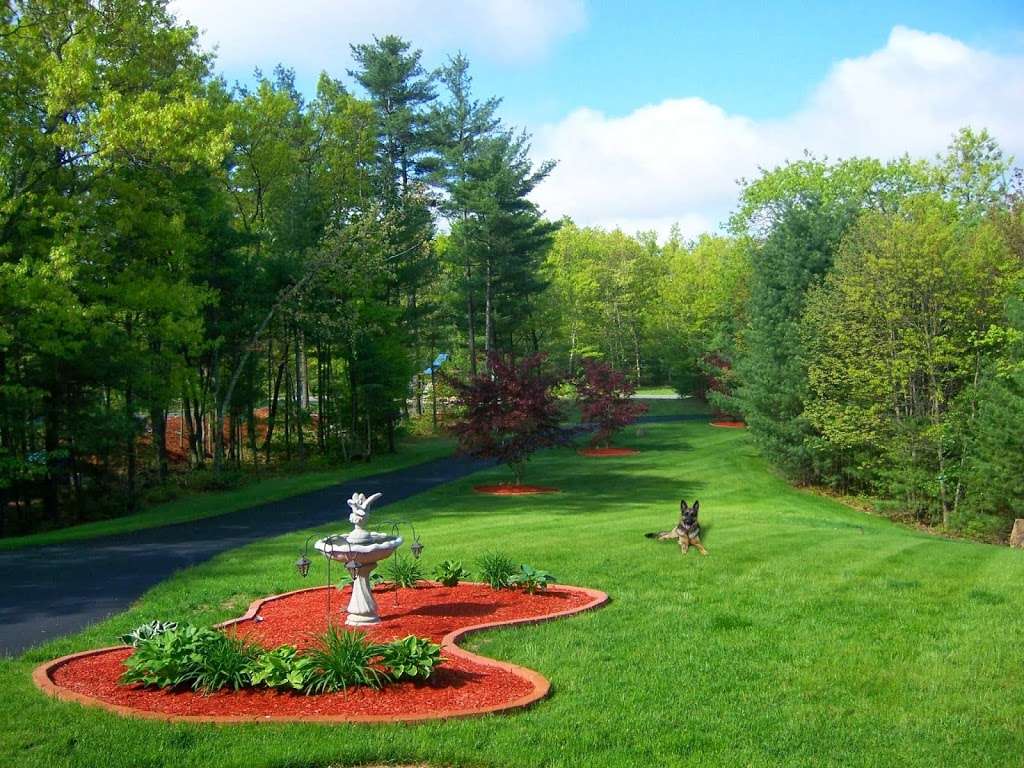 Lawn Dawg | 469 River Rd #1, Hudson, MA 01749 | Phone: (978) 763-7000