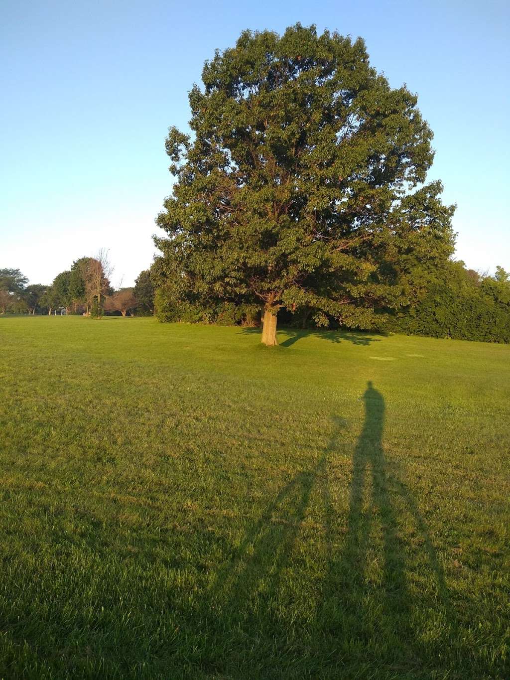 Mitchell Airport Park | 4446 S Logan Ave, Milwaukee, WI 53207, USA | Phone: (414) 257-7275