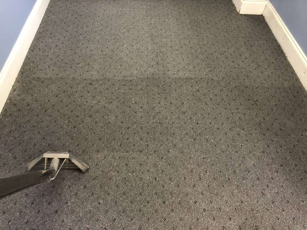 Salisbury Rug & Carpet Cleaning | 170 Eagle Dr, Salisbury, NC 28144, USA | Phone: (704) 603-7059
