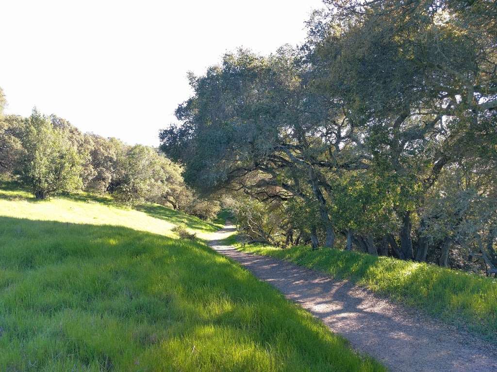 Sobrante Ridge Regional Preserve | 5170 Coach Dr, Richmond, CA 94803, USA | Phone: (888) 327-2757