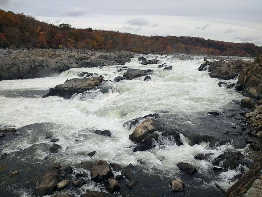 Bear Island | Billy Goat Trail Section A, Potomac, MD 20854, USA