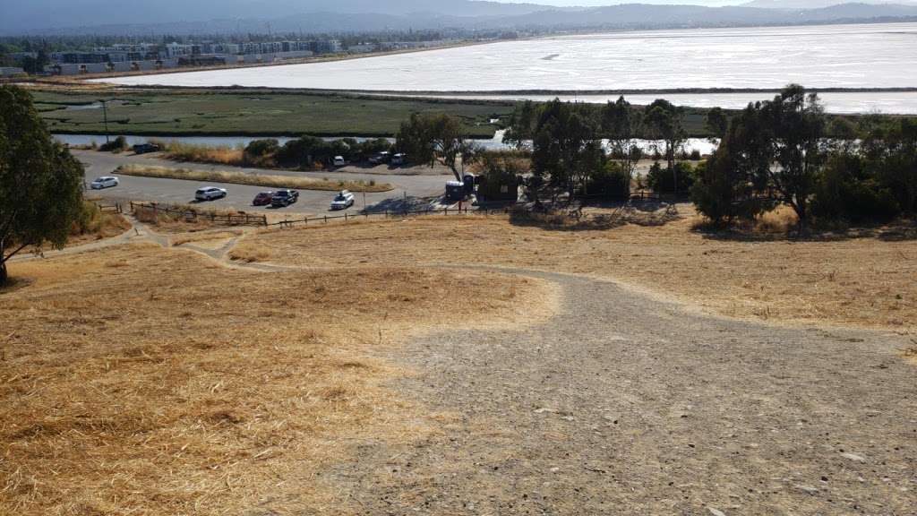 Bedwell Bayfront Park | 1600 Marsh Rd, Menlo Park, CA 94025, USA | Phone: (650) 330-2222