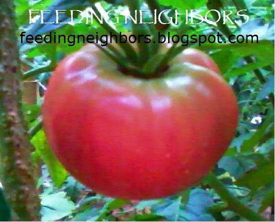Feeding Neighbors | c/o Grove Park Community Empowerment, 2042 Arlington Cir NW, Atlanta, GA 30318, USA | Phone: (470) 444-9966