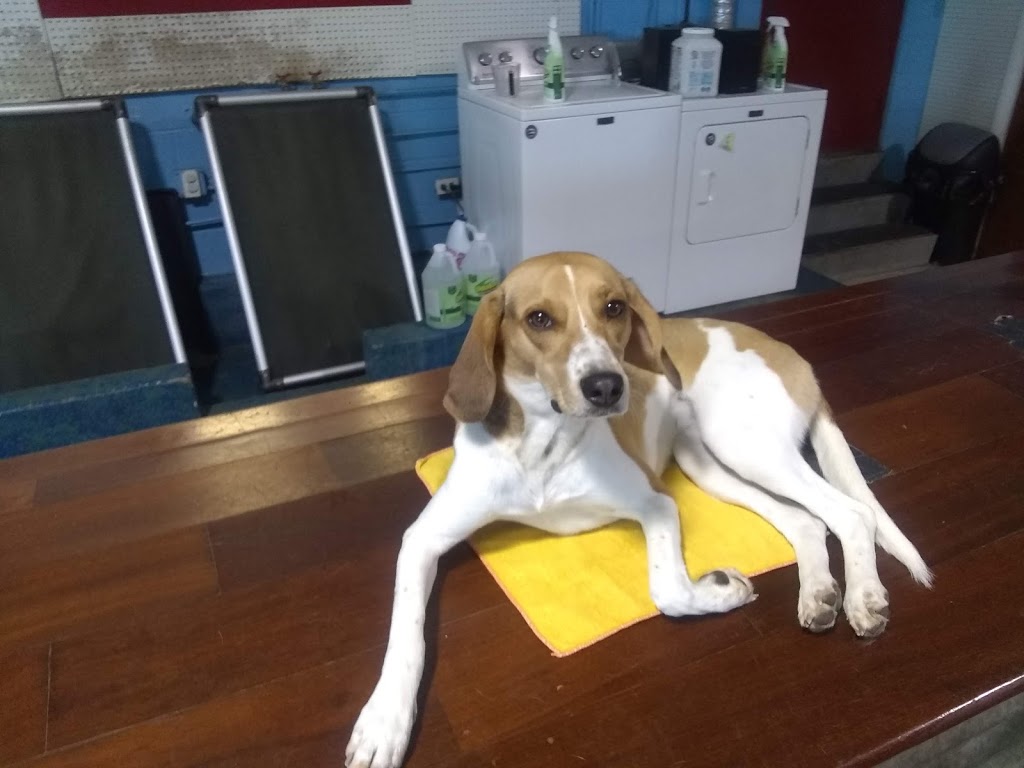 BauserHaus | 2818 Breckenridge Industrial Ct, St. Louis, MO 63144, USA | Phone: (314) 961-3911