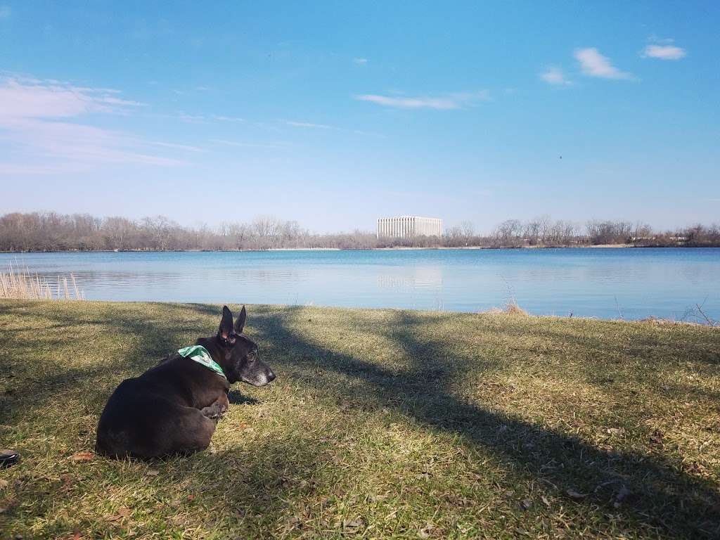 Beck Lake | East River Road, Glenview, IL 60025, USA