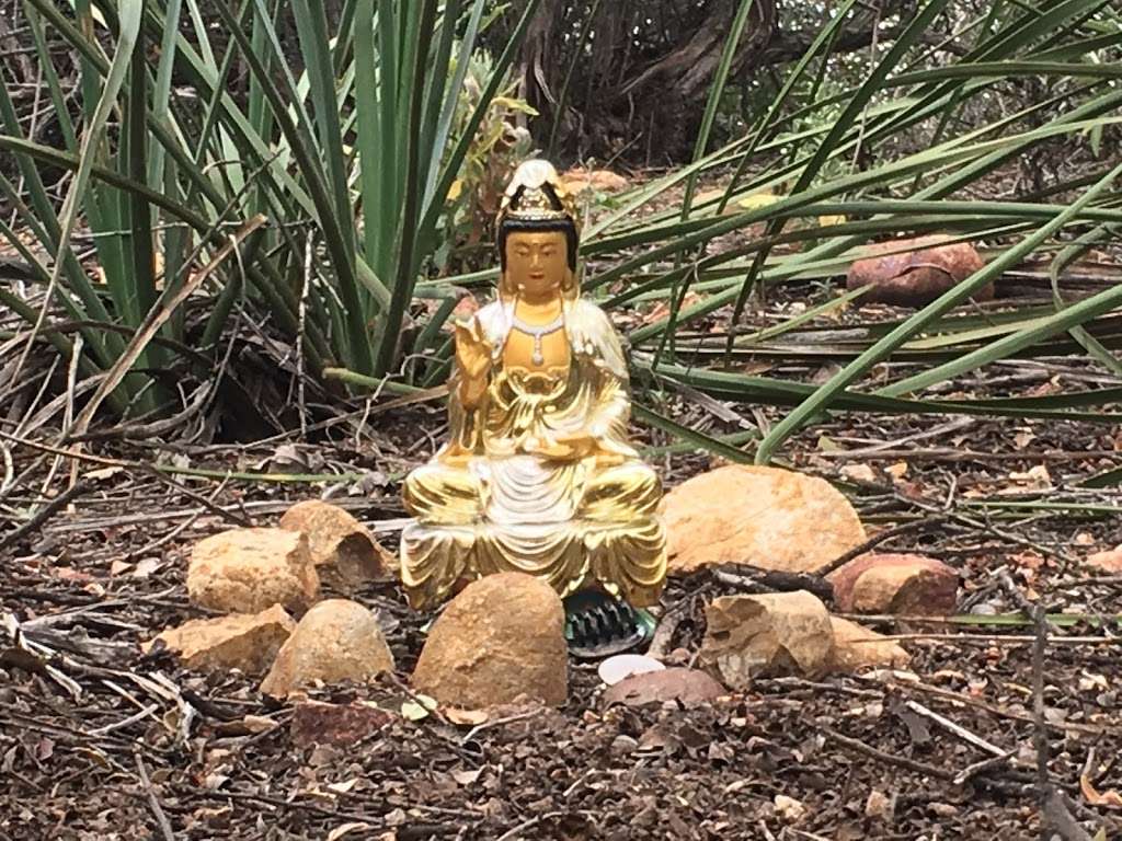 Backbone Buddha | Pacific Palisades, CA 90272