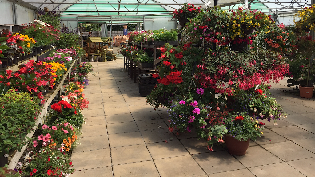 Hanging Gardens Nurseries Ltd | Ongar Road West, Writtle, Chelmsford CM1 3NT, UK | Phone: 01245 421020