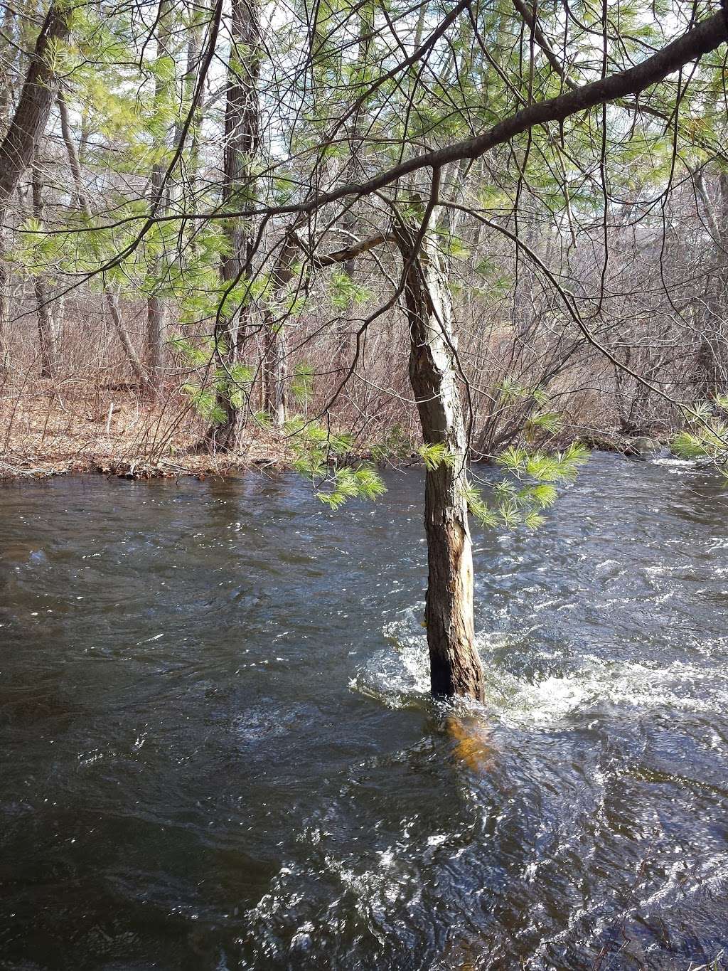 Stillwater Scenic Trail Parking | Stillwater Scenic Trail, Smithfield, RI 02917