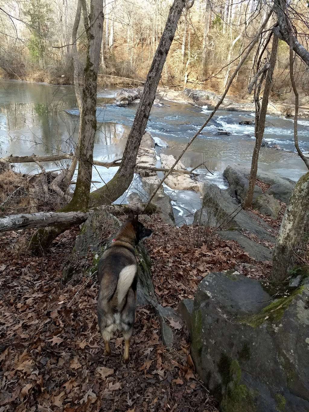 South Fork Trail and Blueway Access | 119 Willow Dr, Gastonia, NC 28056, USA