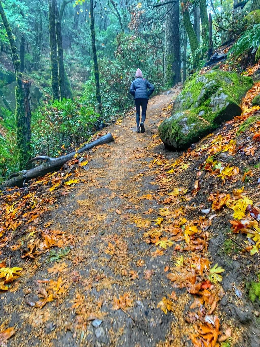 Castle Rock state park parking | Castle Rock Trail, Saratoga, CA 95070, USA