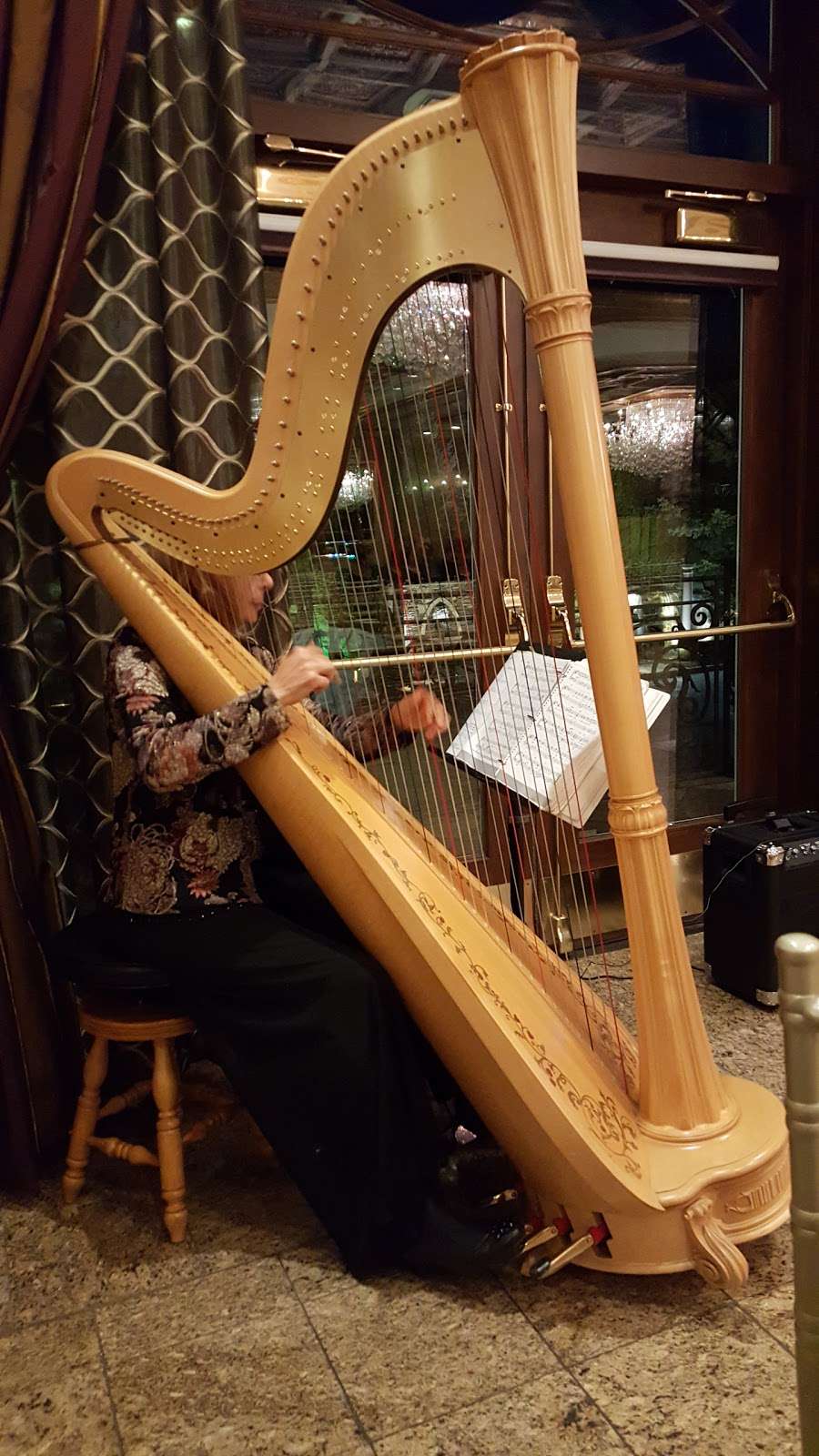 Cecilia Parker (Harpist/Harp Teacher) | 11 S Shore Trail, Sparta Township, NJ 07871 | Phone: (973) 726-8831