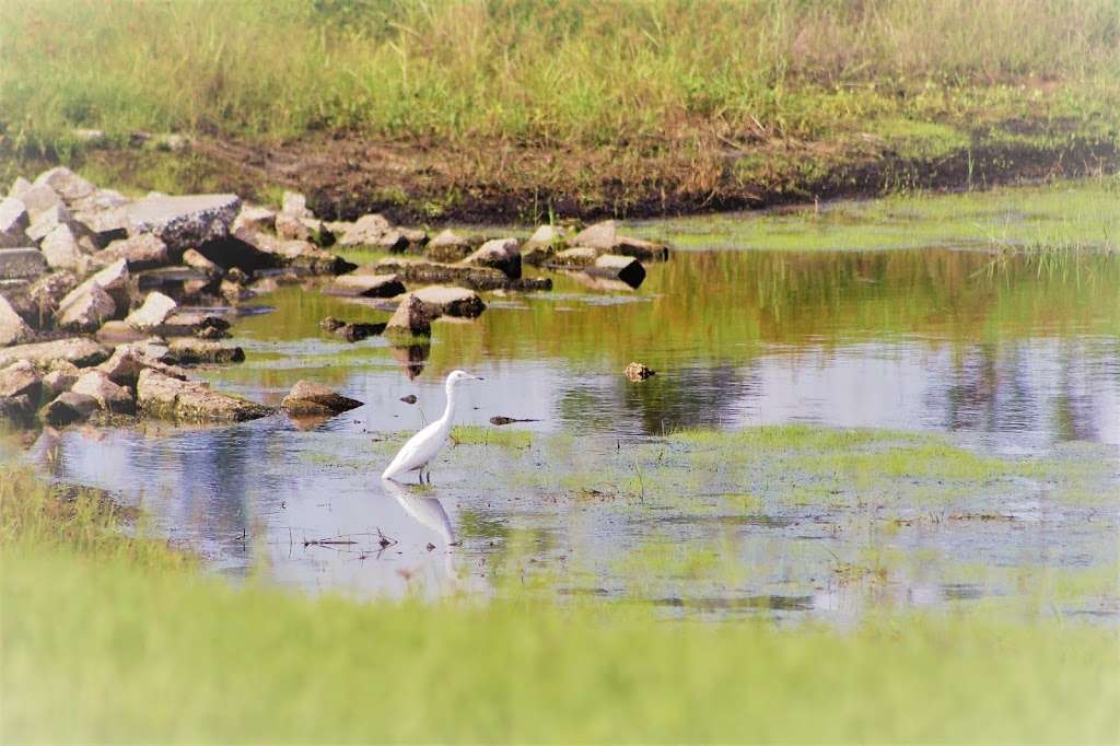 Audubon Park | Doyle Rd & Lush Ln, Deltona, FL 32738, USA | Phone: (386) 878-8900