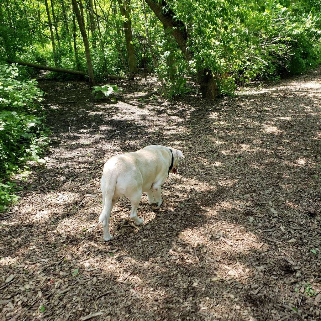 Warnimont Dog Park | 6100 S Lake Dr, Cudahy, WI 53110 | Phone: (414) 762-1550