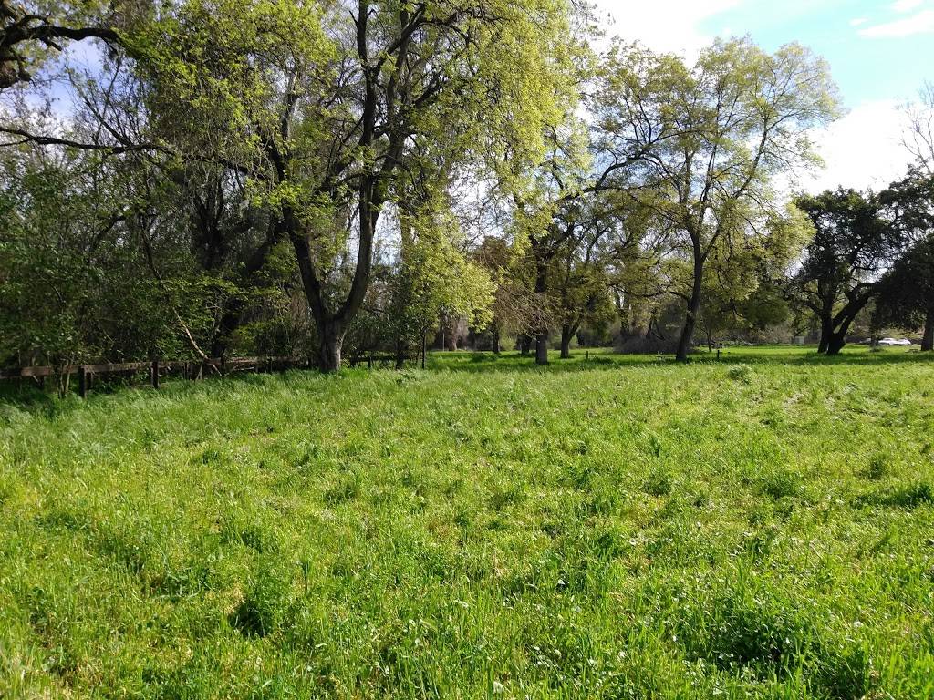 Camp Pollock | 467 Del Paso Blvd, Sacramento, CA 95815, USA | Phone: (916) 974-4330