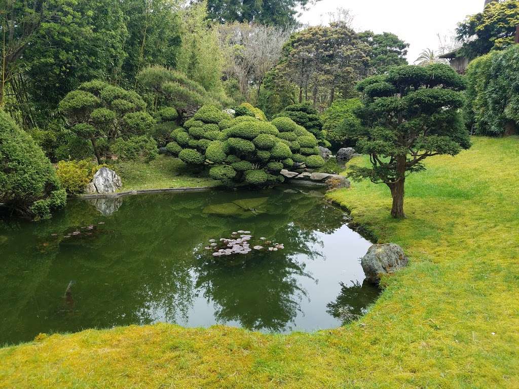 Japanese Tea Garden | 75 Hagiwara Tea Garden Dr, San Francisco, CA 94118, USA | Phone: (415) 752-1171