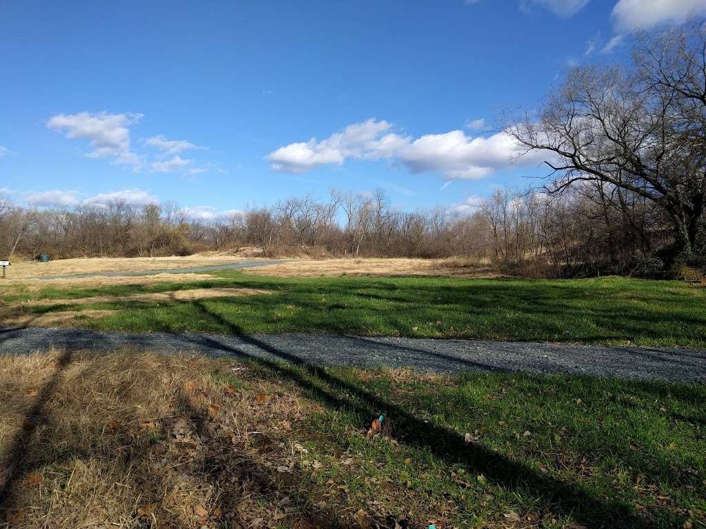 Kingman Island Trail | Kingman Island Trail, Washington, DC 20002, USA