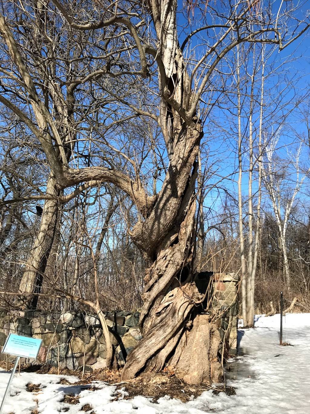 UW-Madison Lakeshore Nature Preserve | 2000 University Bay Dr, Madison, WI 53705, USA | Phone: (608) 265-9275