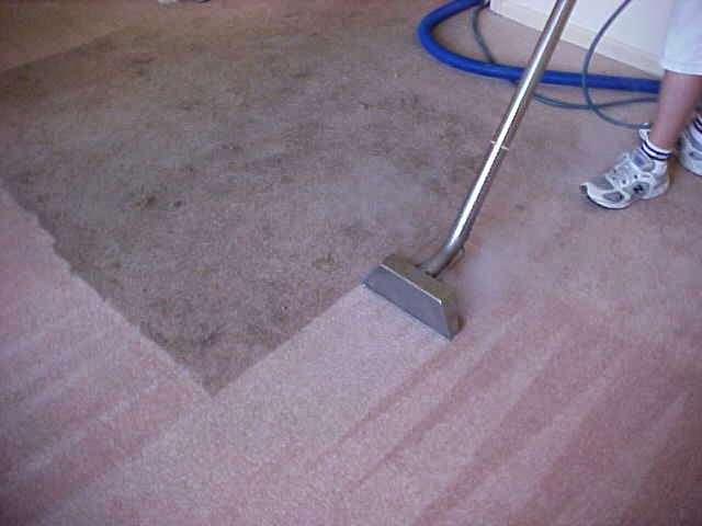 DC Carpet Care LLC of Northeast Philadelphia | 3050 Brighton St, Philadelphia, PA 19149, USA | Phone: (215) 901-3313