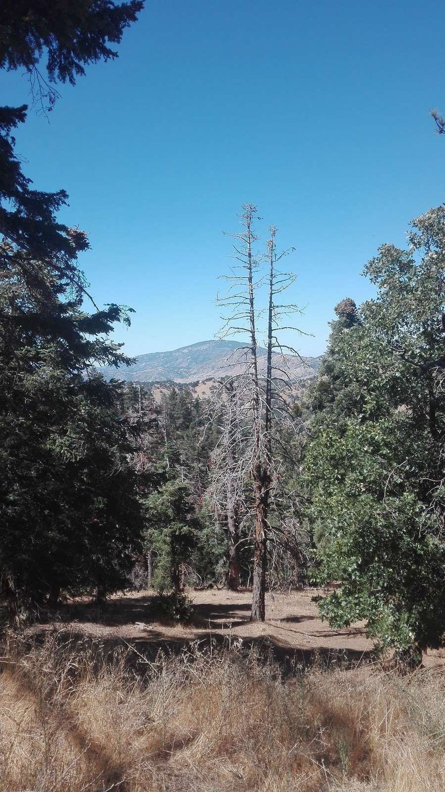 Nuooah Nature Trail Entrance | Unnamed Rd,, Tehachapi, CA 93561, USA