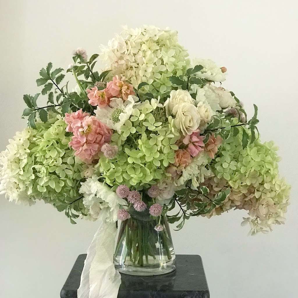 All Purpose Flowers | 29 Lexington Ave, Gloucester, MA 01930, USA | Phone: (978) 526-1241