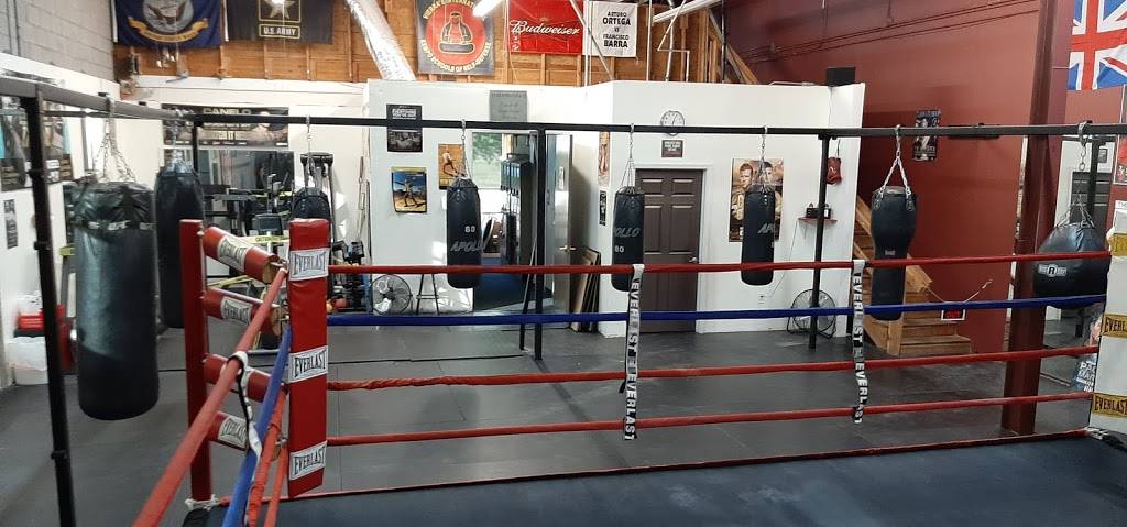 Hard Knocks Gym | 11042 N 24th Ave #105, Phoenix, AZ 85029 | Phone: (602) 944-4791