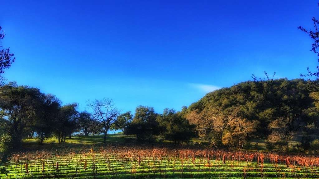 George C Yount Pioneer Cemetery and Ancient Indian Burial Ground | Lincoln Ave, Yountville, CA 94599, USA