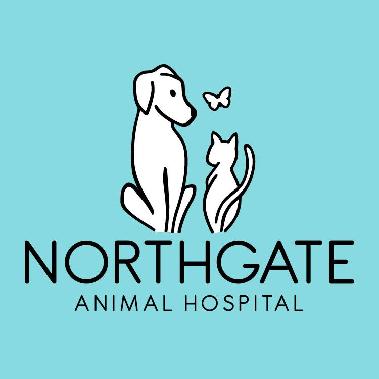 Northgate Animal Hospital | 12225 Voyager Pkwy, Colorado Springs, CO 80921, USA | Phone: (719) 481-3080