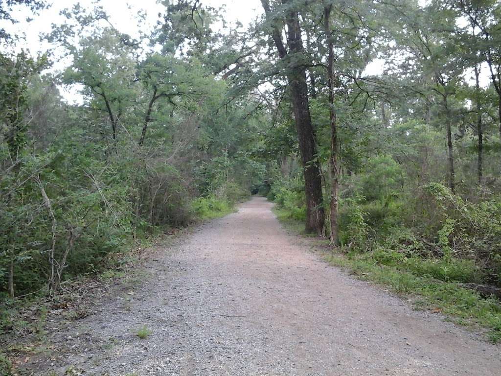 Trail Head Memorial Park | Purple Trail (Easy), Houston, TX 77007, USA