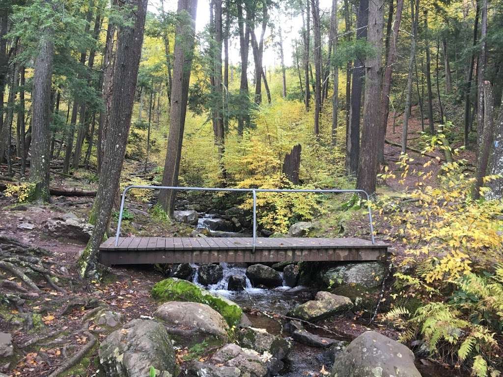 Buttermilk Falls Trail Parking, Mountain Road, Layton, NJ | Layton, NJ 07851, USA