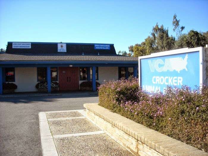 VCA Crocker Animal Hospital | 475 N Jackson Ave, San Jose, CA 95133, USA | Phone: (408) 272-1330